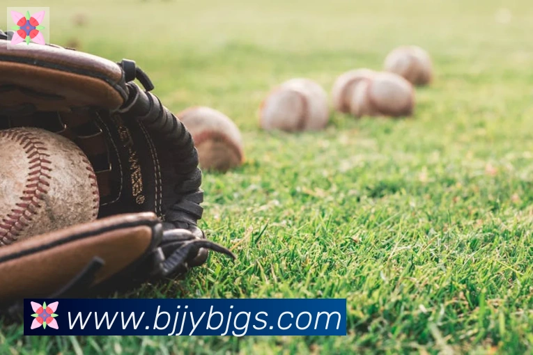 乐鱼网页版登录入口APP 封面图