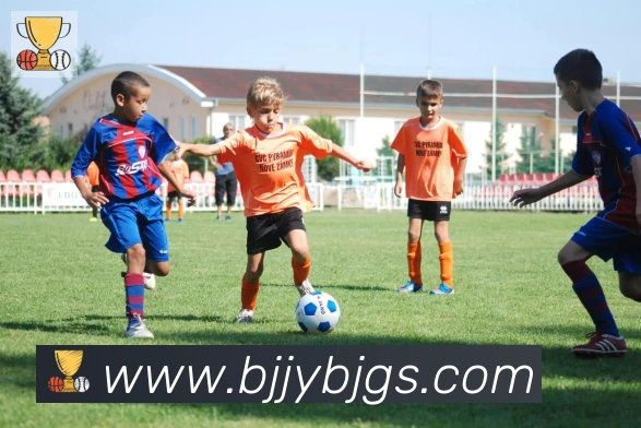 乐鱼网页版登录入口荣誉