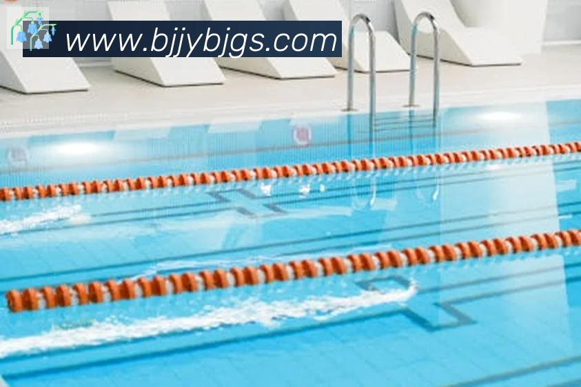 乐鱼网页版登录入口荣誉