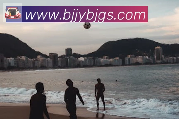 乐鱼网页版登录入口荣誉