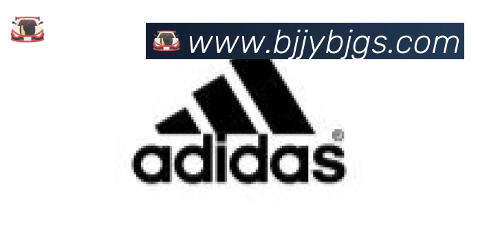 乐鱼网页版登录入口合作伙伴